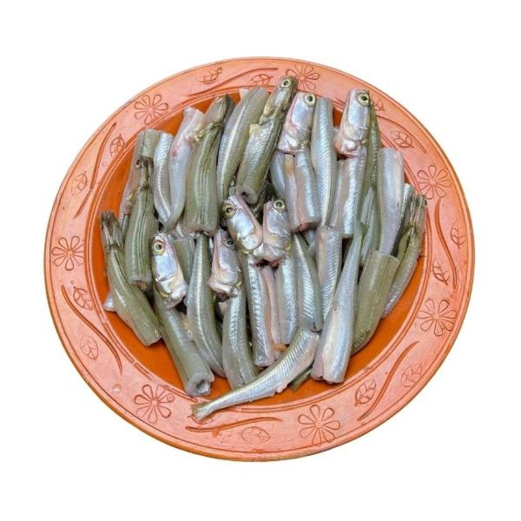 দেশি কাকিলা মাছ